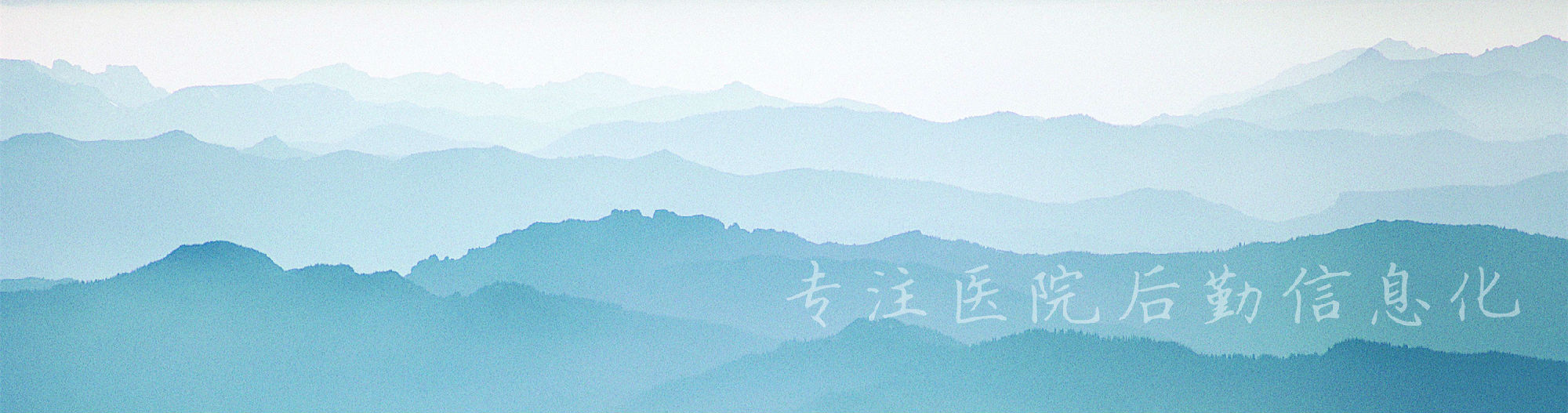 描述